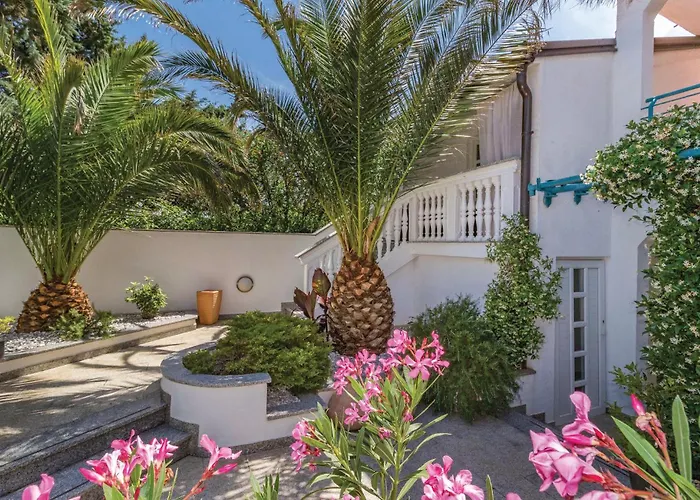 Cozy In With Wifi * 풀라